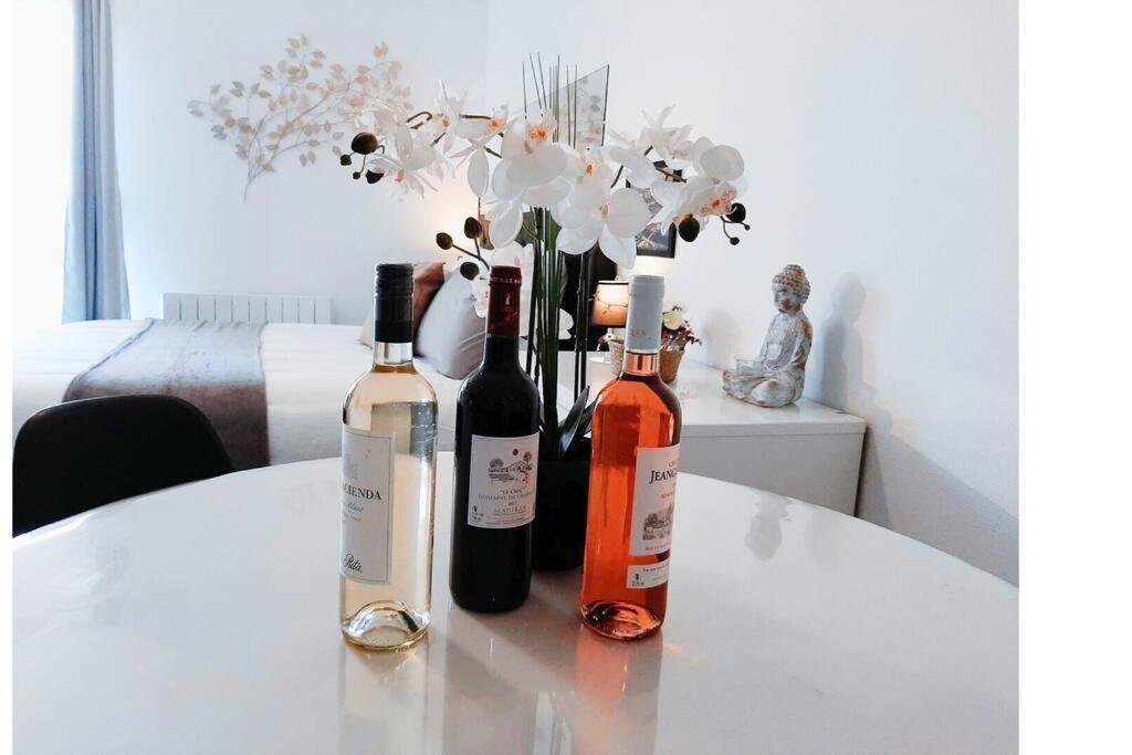 Studio Standing -chez Nuizen Orleans- Apartment *